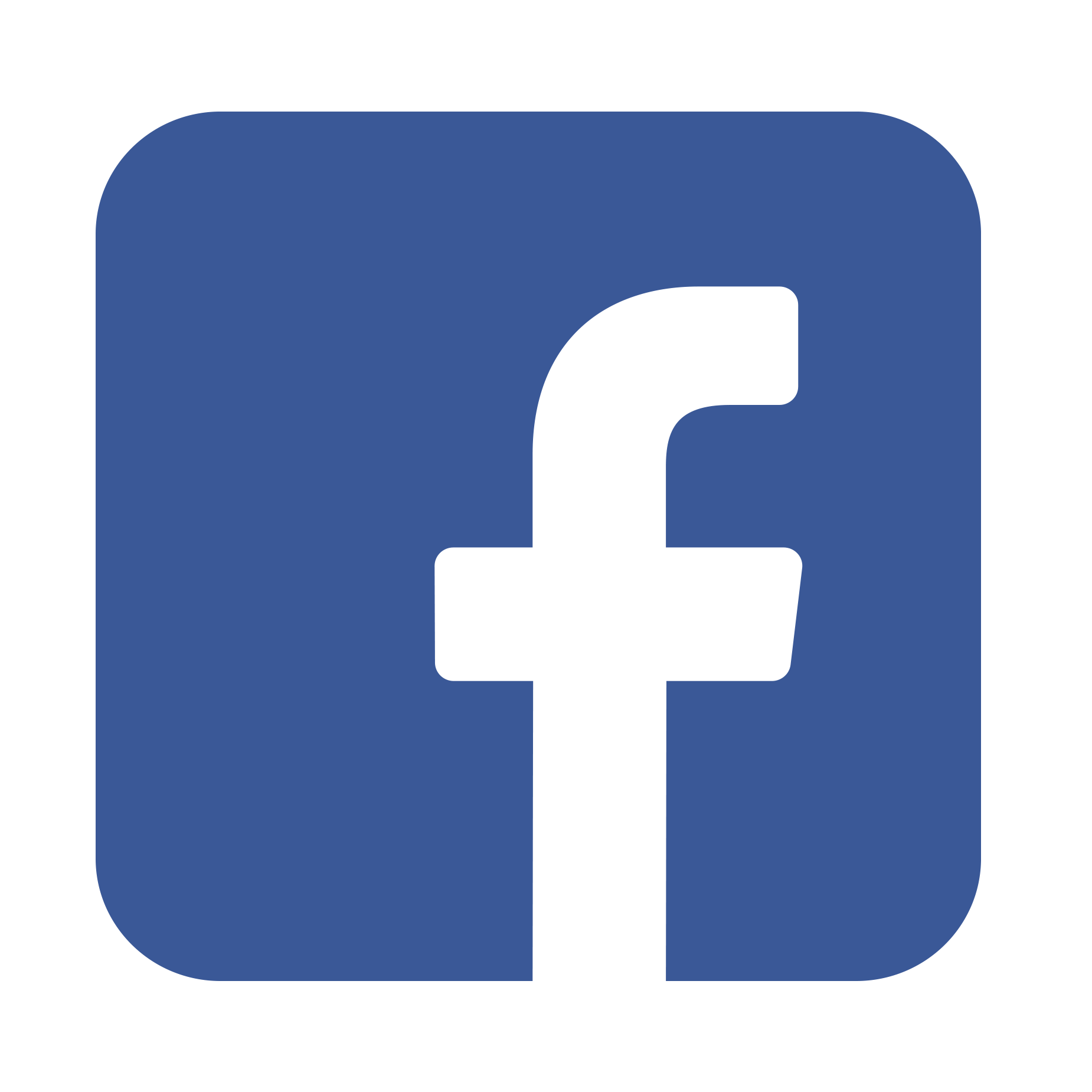 socialMediaIcon