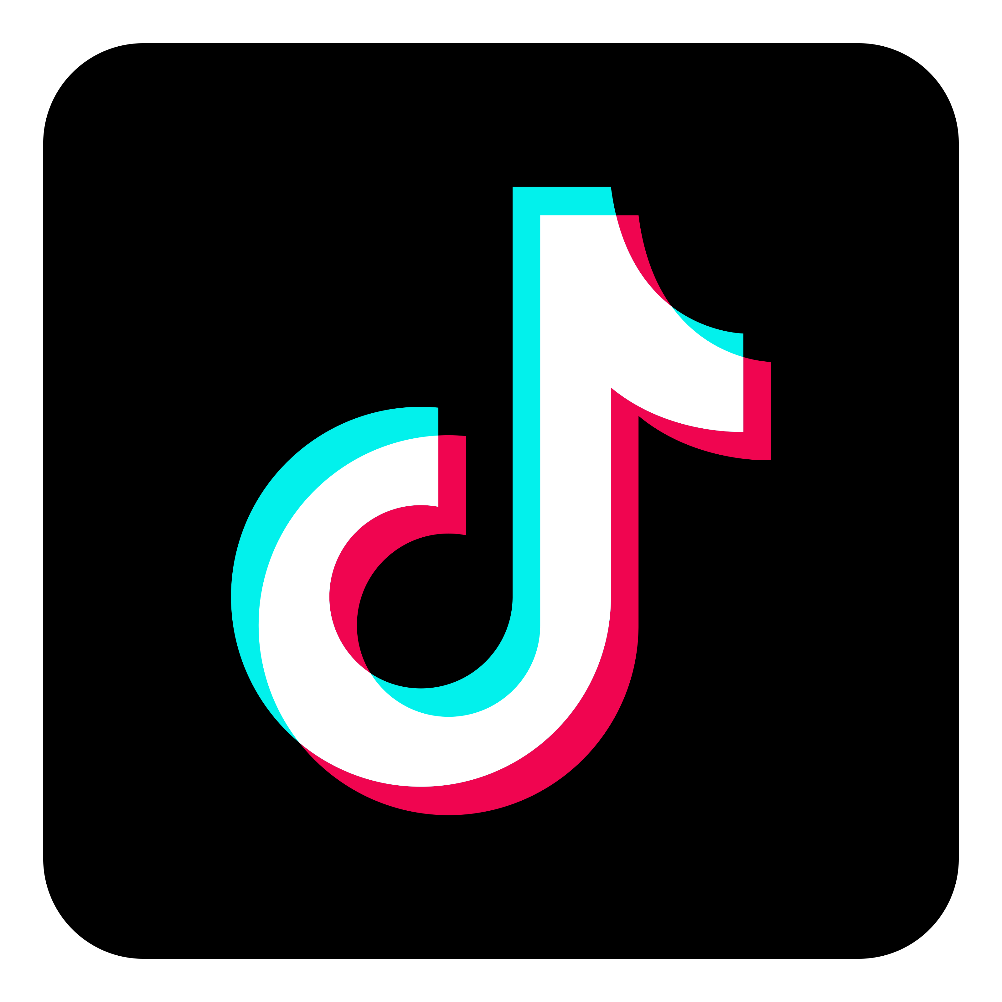 socialMediaIcon